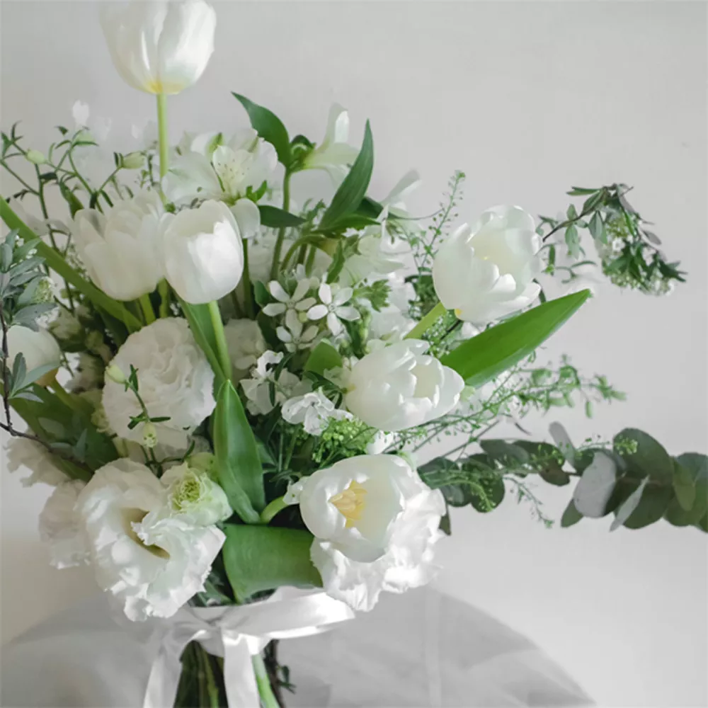 白鬱金香捧花