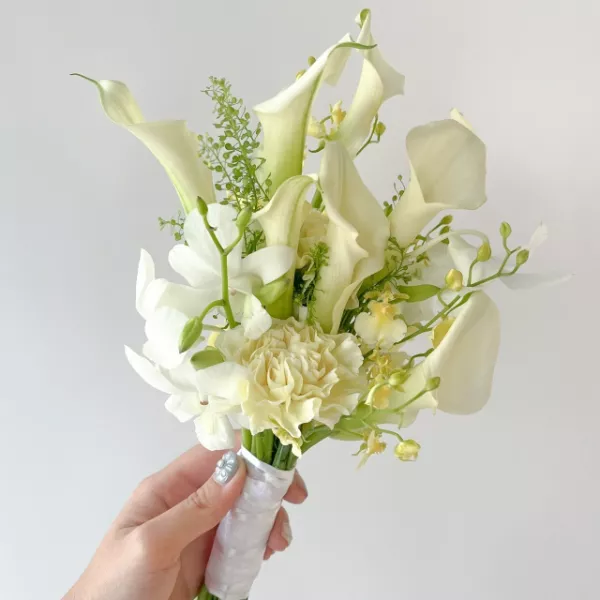 白色系海芋捧花