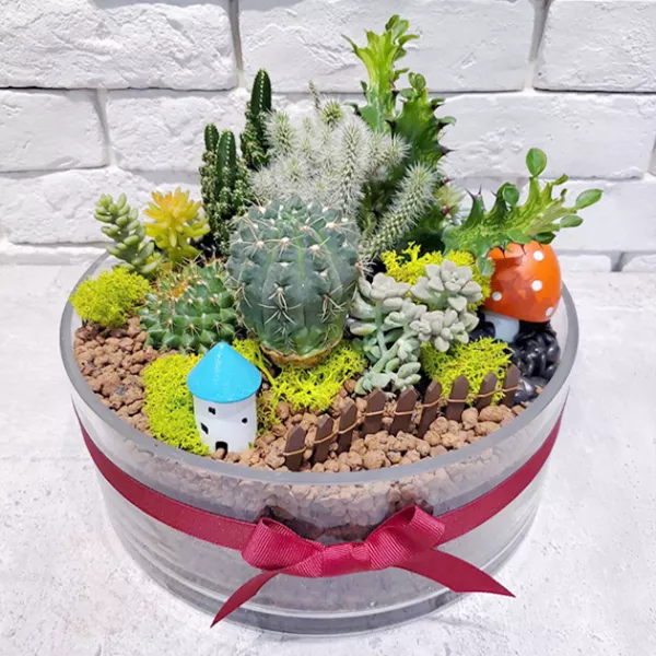 多肉組盆玻璃花器