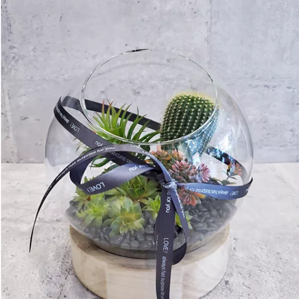 多肉組盆玻璃球