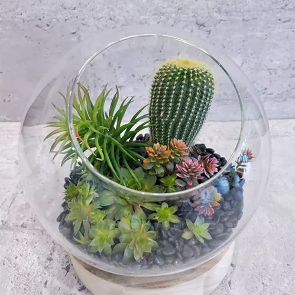 多肉組盆玻璃球